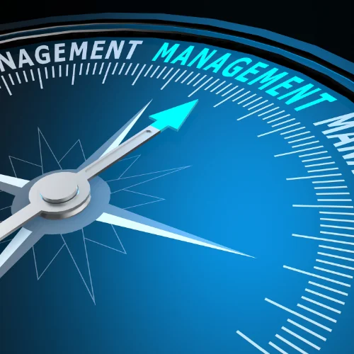 Project Management Services NS Design Jodhpur